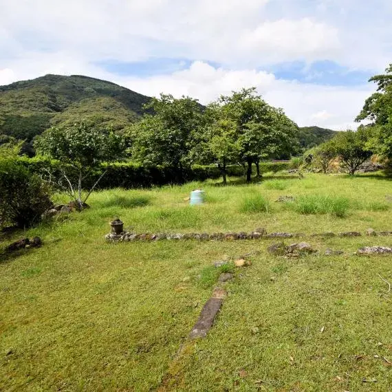 4DK 下田市 静岡県 (2)