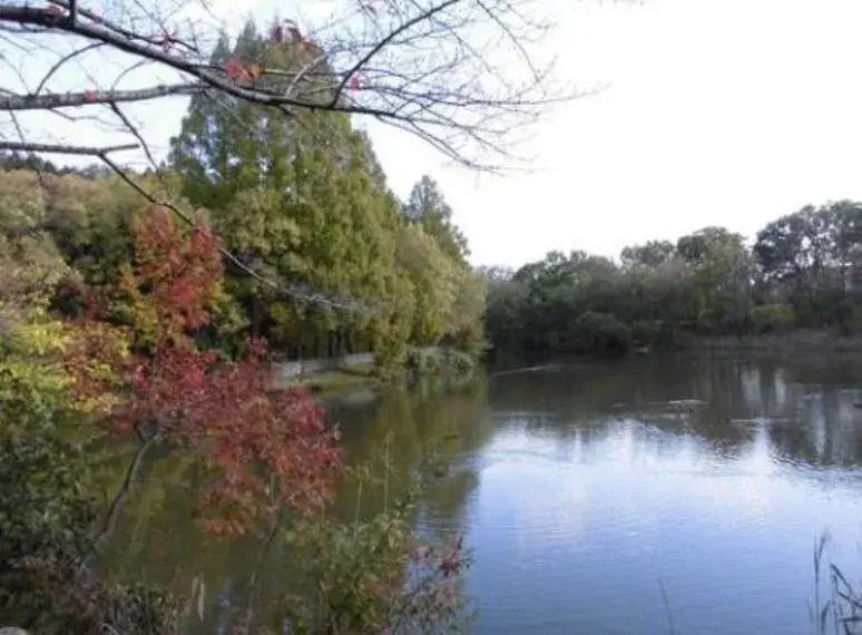 4LDK Sakai City Osaka Prefecture (6)