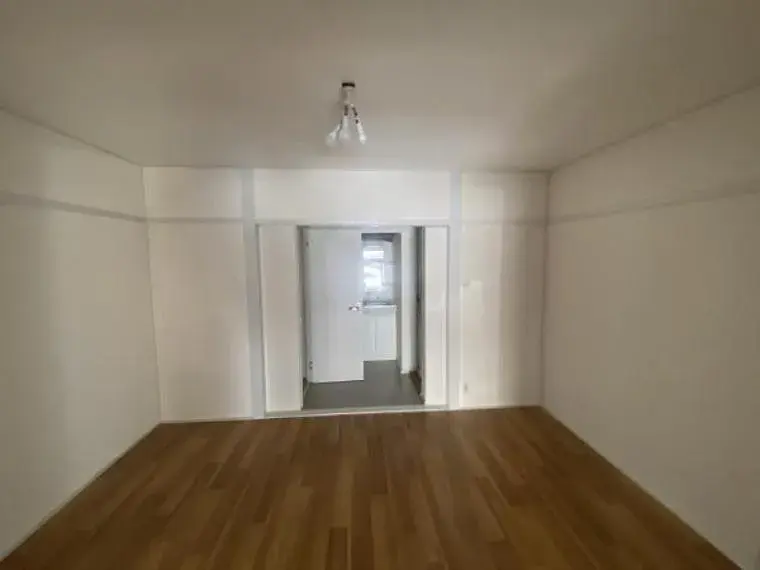 3K Property Habikino City, Osaka Prefecture (3)