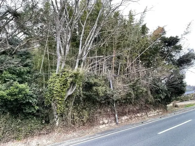 Land Property Nagara Town Chiba Prefecture (2)