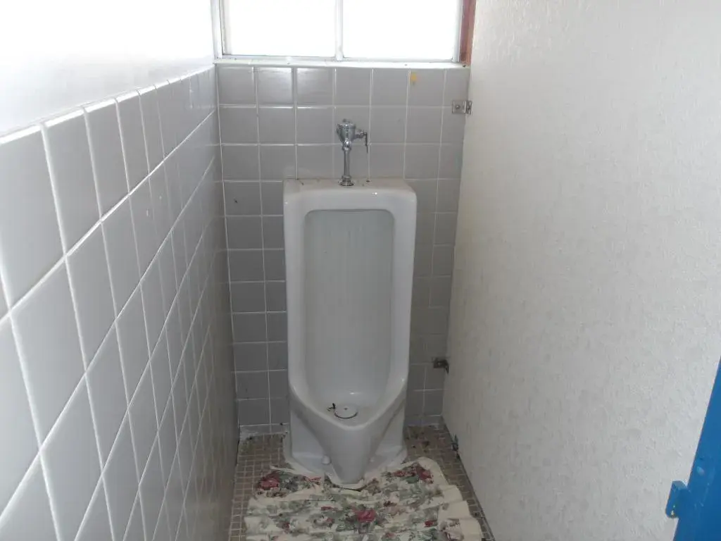 Propriété 9DK, Ville de Tainai, Préfecture de Niigata (18)