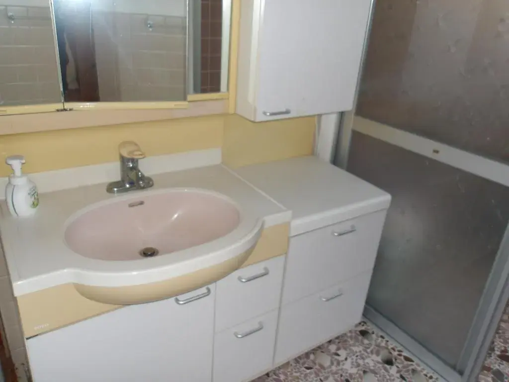 Propriété 9DK, Ville de Tainai, Préfecture de Niigata (19)