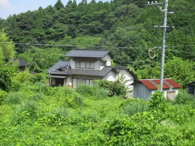Slide 1