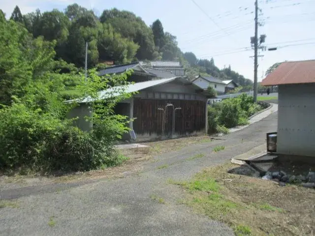 Slide 3
