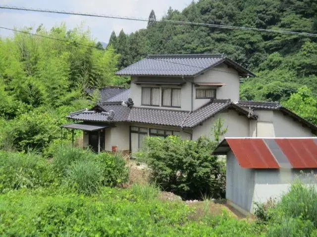 Slide 5