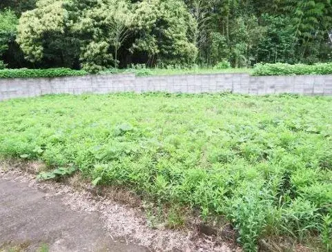 7K Property Kusu Town Oita Prefecture (13)