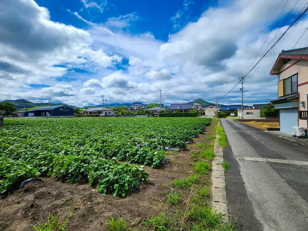 6LDK 枕崎市 鹿児島県 (12)