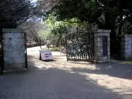 Slide 6
