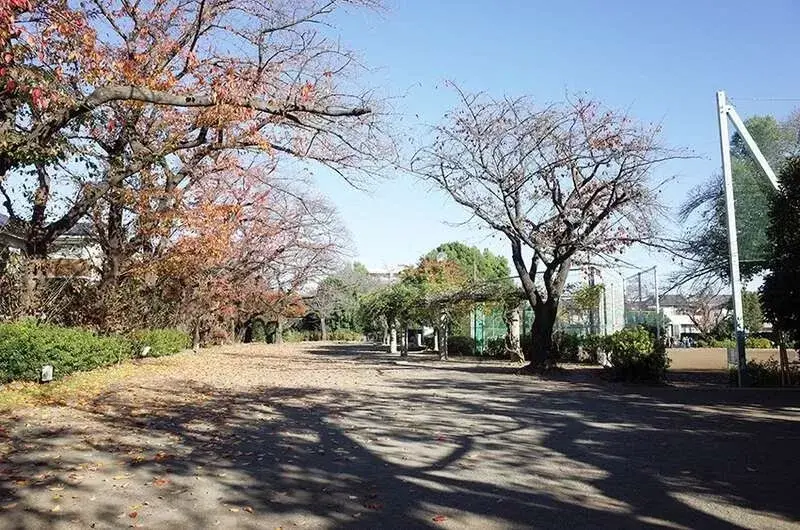 Slide 7