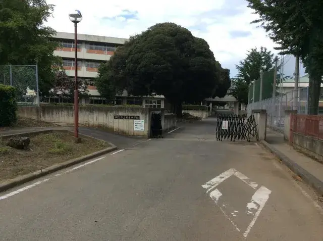 Slide 21