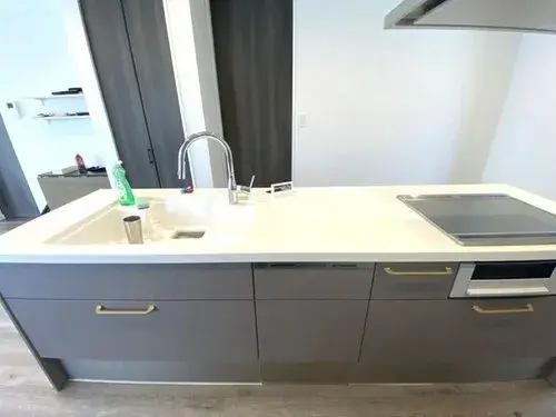 3LDK Property Eniwa City Hokkaido (11)