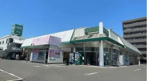 4LDK Property Sendai City Miyagi Prefecture (17)