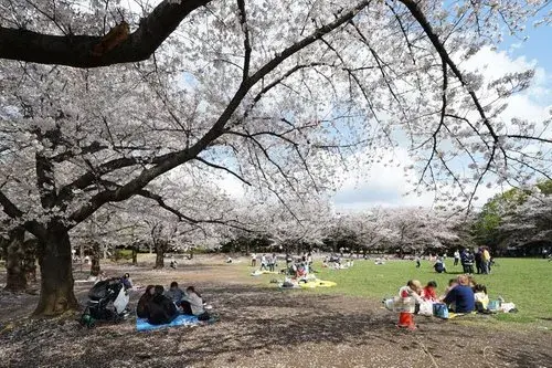 6DK Saitama Warabi City Property (14)