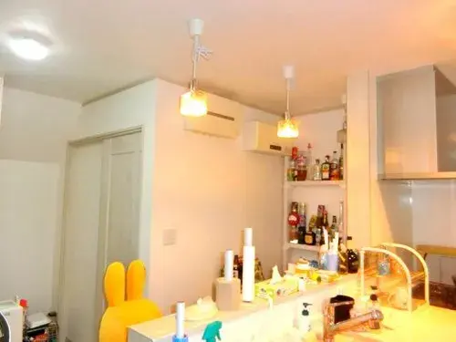 2LDK Property Hidaka City Saitama Prefecture (8)