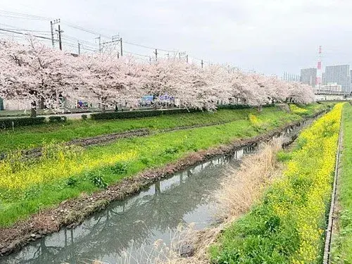 3LDK مدينة Saitama محافظة Saitama (22)