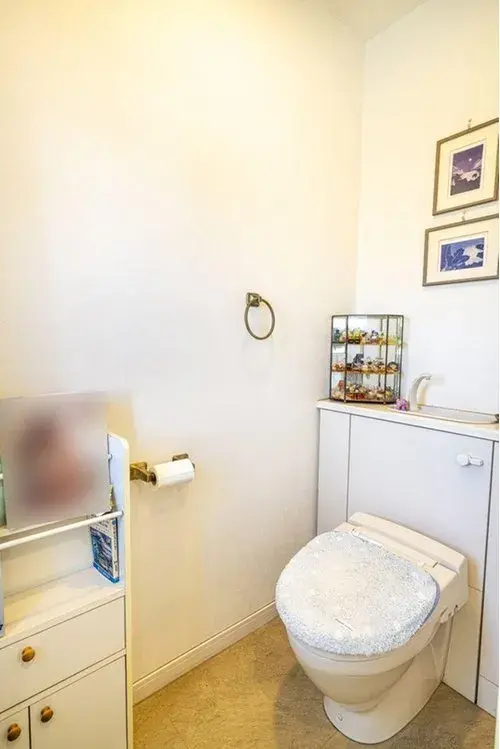 3LDK Property Kashiwa City Chiba Prefecture (14)
