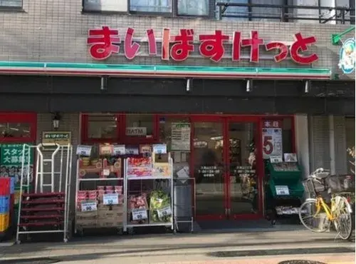 3LDK Property Setagaya Ward Tokyo (24)