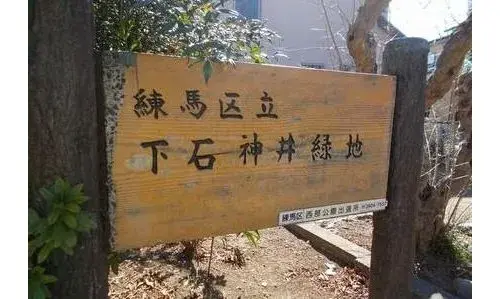 3LDK Property Setagaya Ward Tokyo (28)