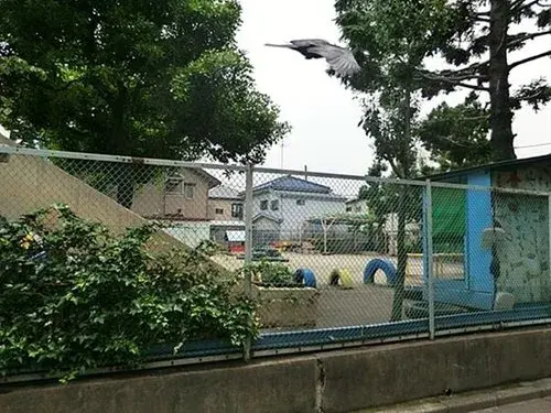 1LDK Arrondissement de Nerima, Tokyo (10)