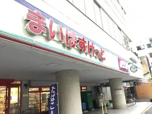 3LDK+S Suginami-ku Tokyo (6)