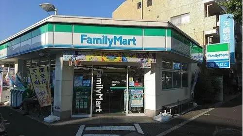 3LDK+S Suginami-ku Tokyo (7)