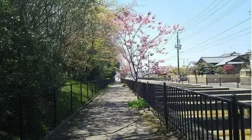 2階建LDK物件 新潟市 新潟県 (13)