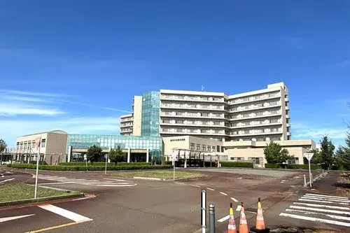 8LLDDKK Ville de Nagaoka Préfecture de Niigata (27)