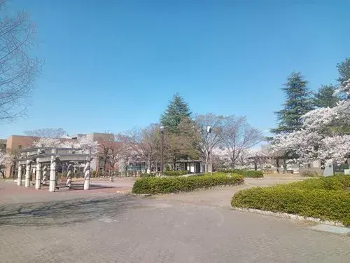 8LLDDKK Ville de Nagaoka Préfecture de Niigata (29)