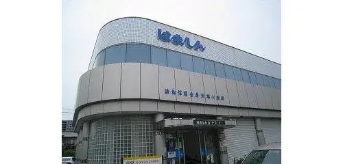3LDK+S物件 浜松市 静岡県 (17)