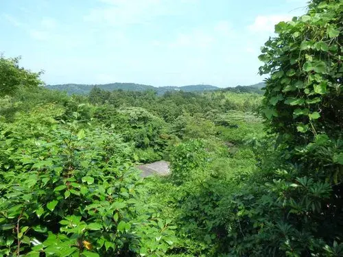 2LDK物件 伊東市 静岡県 (16)