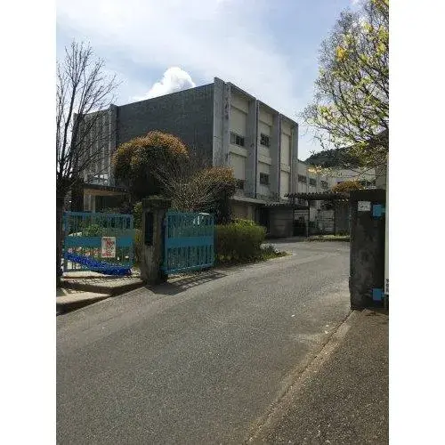 Slide 6