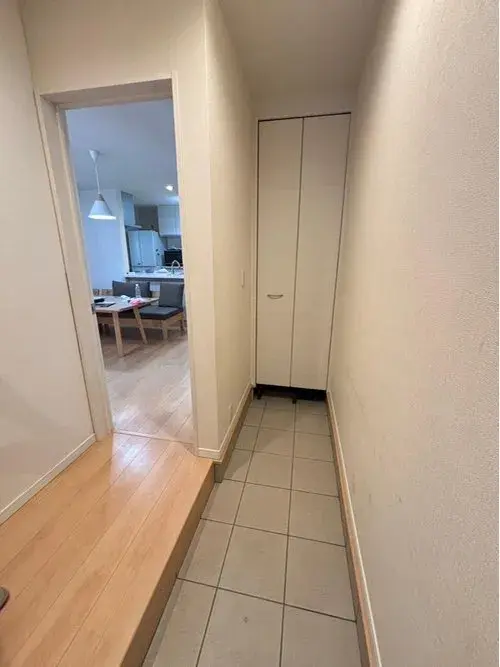 4LDK Property Osaka City Osaka Prefecture (12)