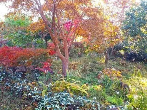2LDK房产 伯耆町 鸟取县 (17)