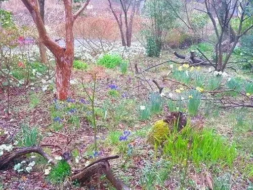 2LDK房产 伯耆町 鸟取县 (18)