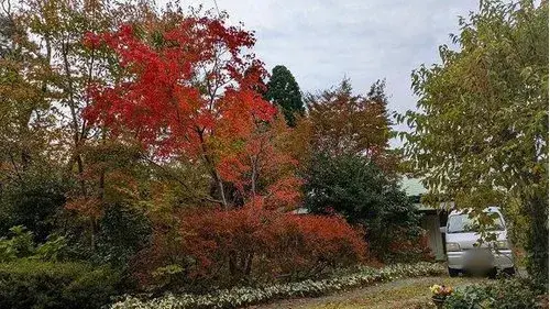 2LDK房产 伯耆町 鸟取县 (19)