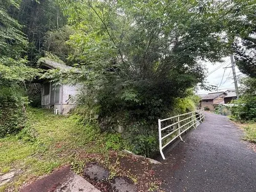 Slide 3