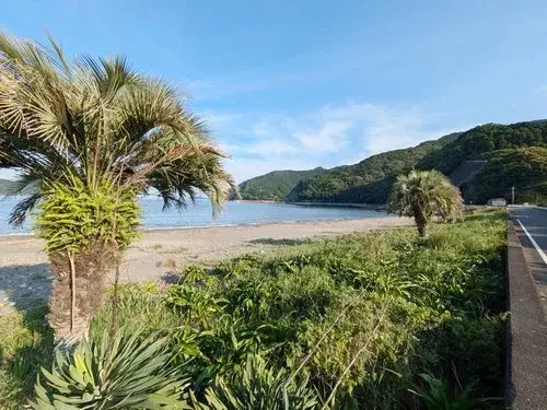 8LDK Saiki City Oita Prefecture (19)
