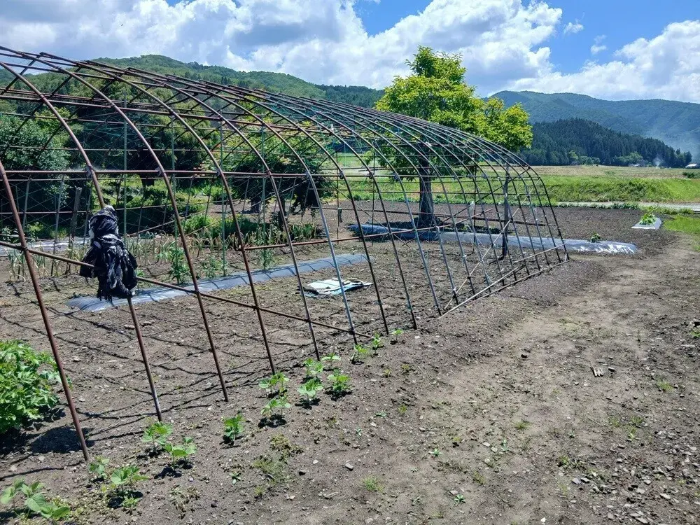 Propiedad 9DK Tono City Iwate Prefecture (18)