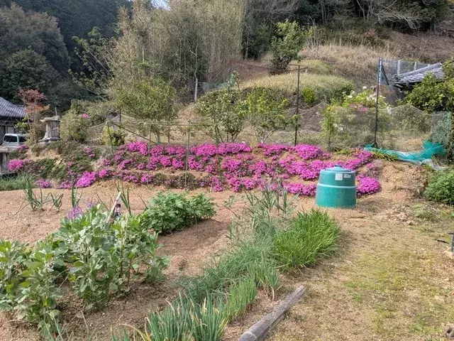 Propiedad 5LDK en la ciudad de Hyuga, Prefectura de Miyazaki (21)
