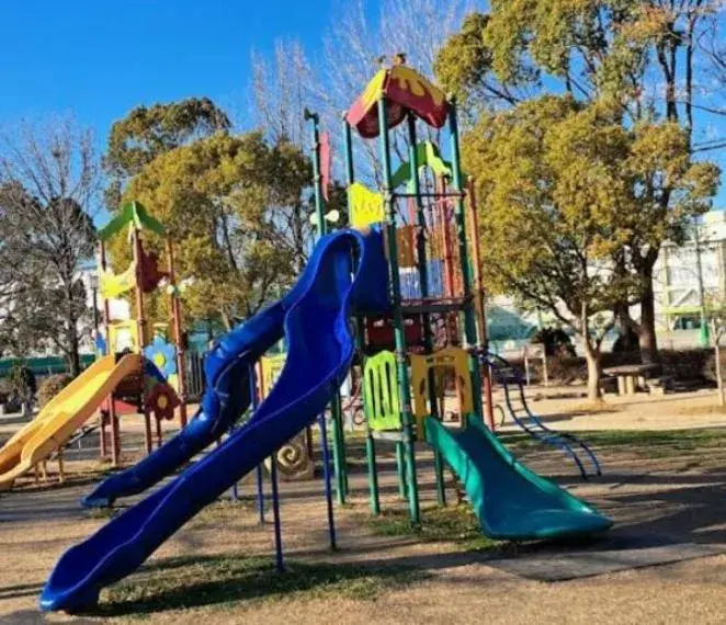 Slide 8