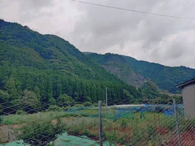 6LDK Saiki City Oita Prefecture Property (20)