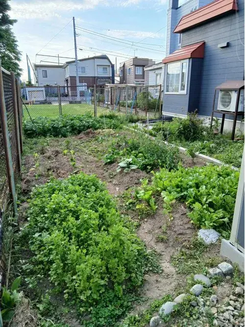 3LDK Property Sapporo City Hokkaido (5)
