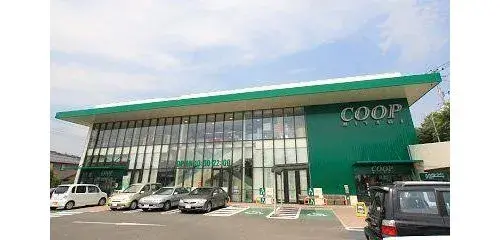 3LDK+S Property Sendai City Miyagi Prefecture (11)