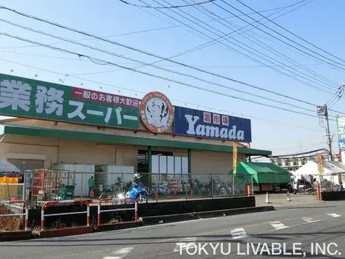 4LDK Toda City Saitama Prefecture (13)