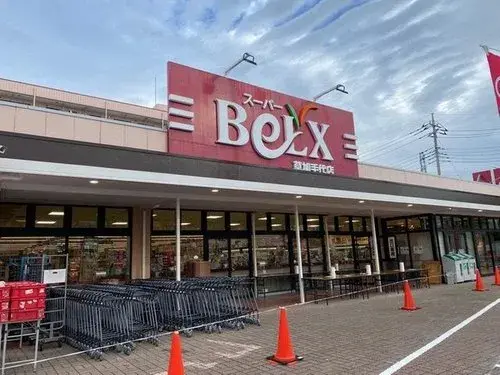 3LDK+S Soka City Saitama Prefecture (8)