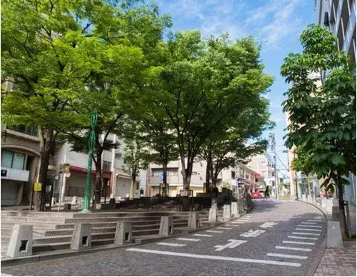 4LDK Property Minato-ku, Tokyo (25)
