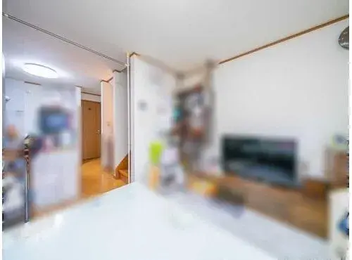 3LDK Property Nakano-ku Tokyo (6)
