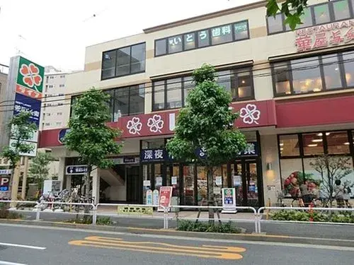 3LDK+S Shinagawa-ku Tokyo (5)