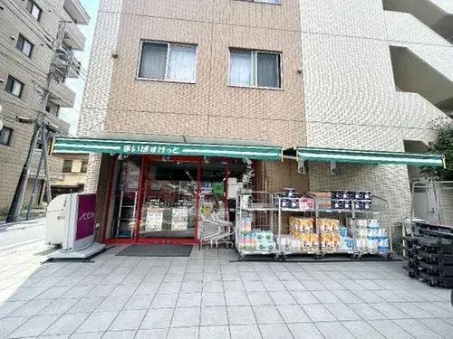 2LDK Property Ota Ward Tokyo (18)