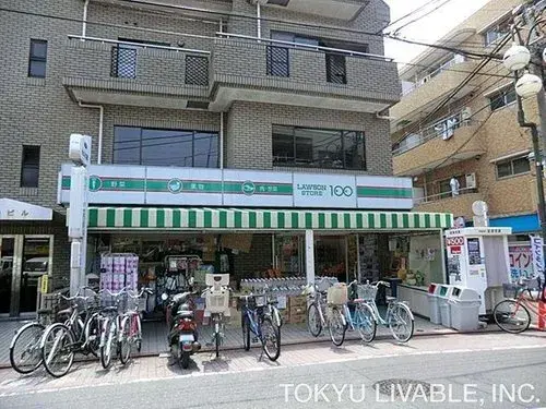 3LDK+S Tokyo Ota-ku Property (11)